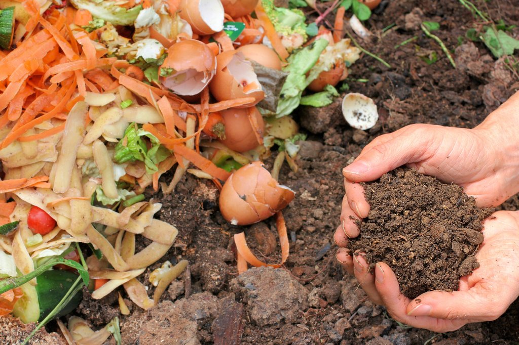 Composting: where there’s a will, there’s a way