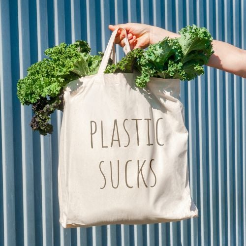 zero waste life without plastic